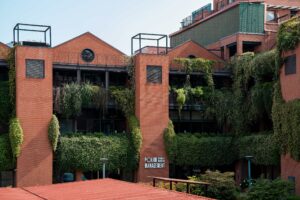 Nasce la Digital Management Academy: POLIMI GSoM e Osservatori Digital Innovation guidano la svolta digitale